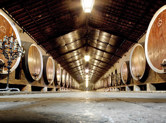 203 Vinho de Colares